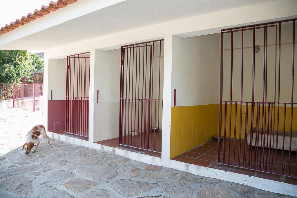Solar Dos Almeidas - Turismo De Habitacao Bed & Breakfast Транкозо Екстериор снимка